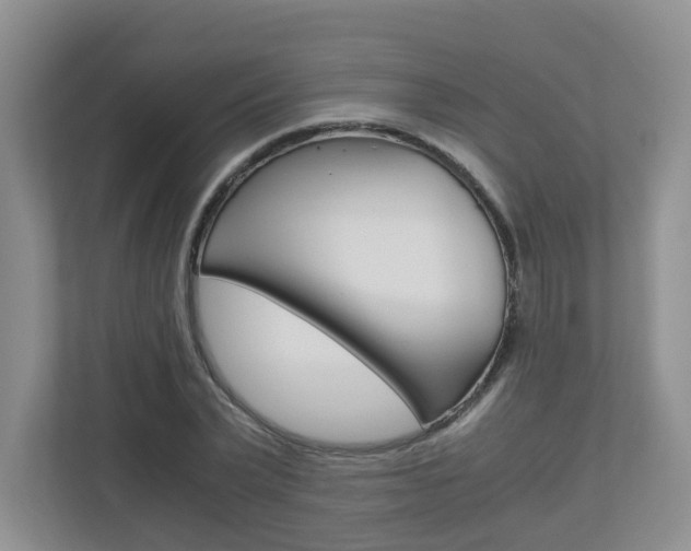 X0000112900783200908211049