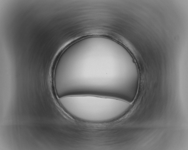 X0000112900787200908211049