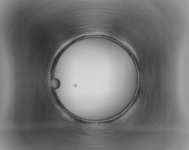 X0000112900789200908211049