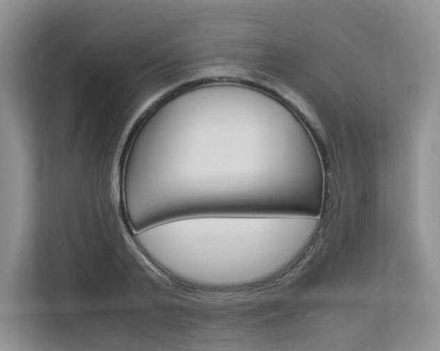 X0000112900791200908211049