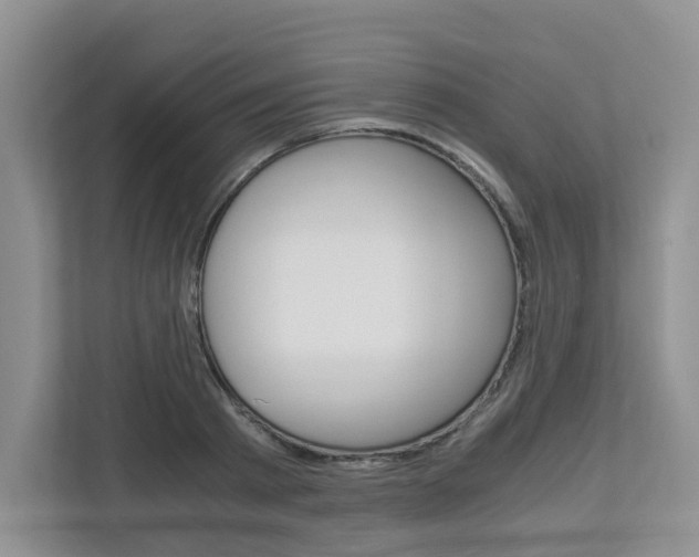 X0000112900793200908211049