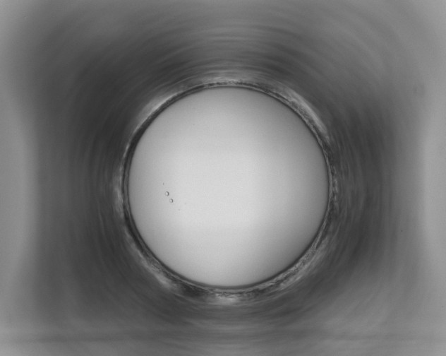 X0000112900794200908211049
