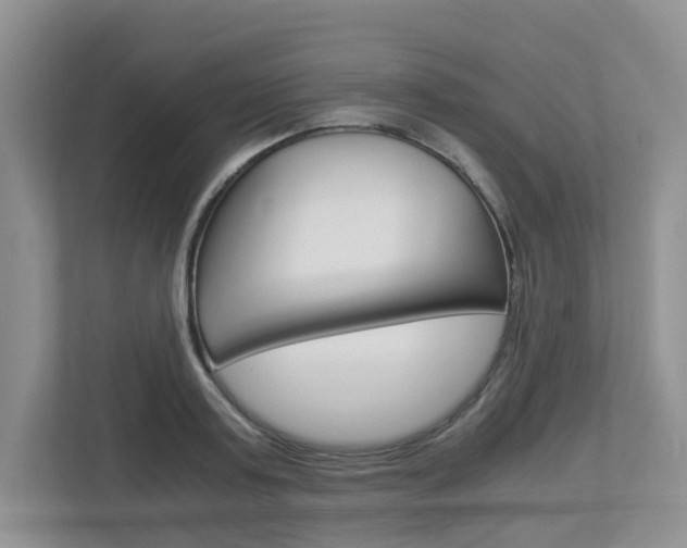 X0000112900795200908211049