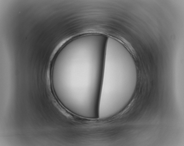 X0000112900796200908211049