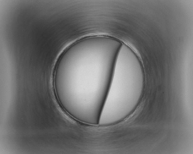 X0000112900797200908211049