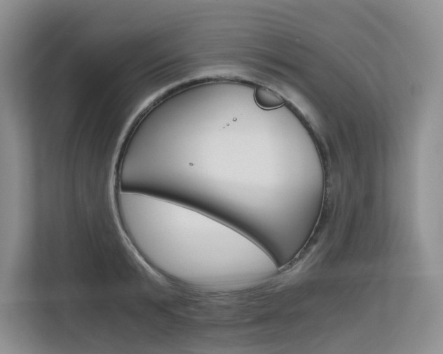 X0000112900799200908211049