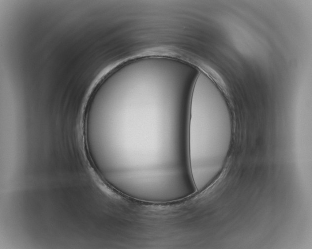 X0000112900800200908211049