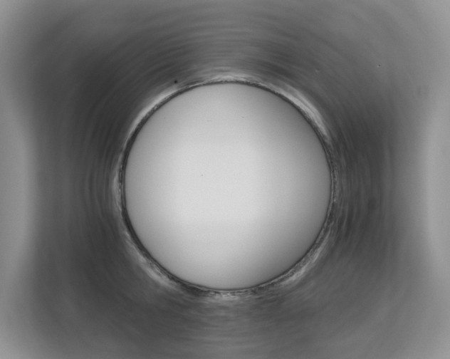 X0000112900806200908211049