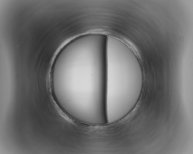 X0000112900808200908211049