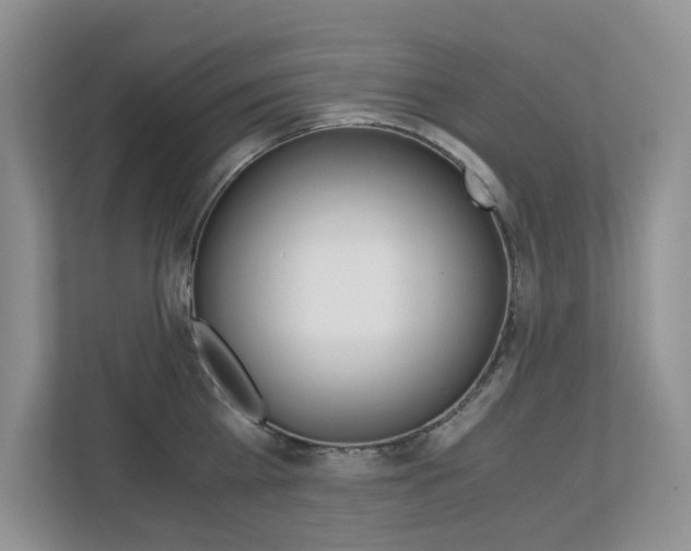 X0000112900809200908211049