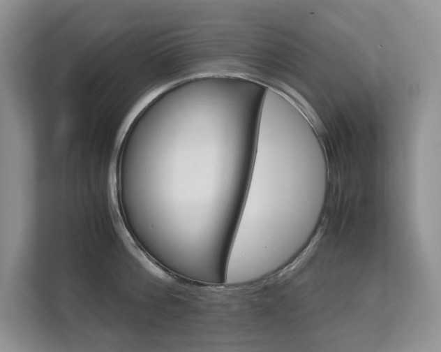 X0000112900812200908211049