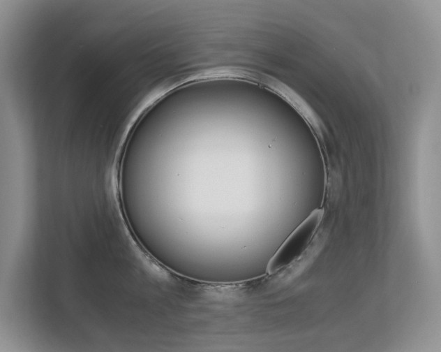 X0000112900813200908211049
