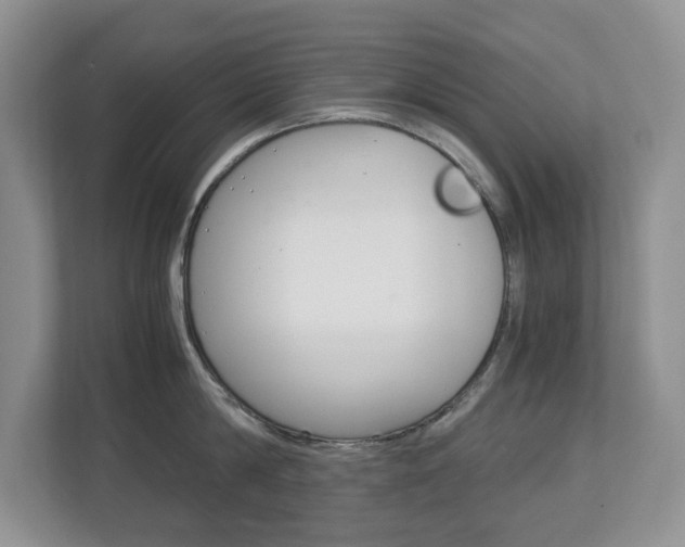X0000112900814200908211049