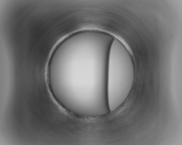X0000112900815200908211049