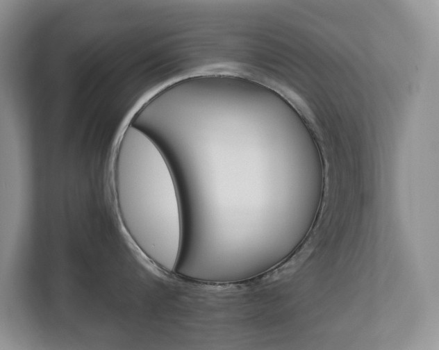 X0000112900816200908211049