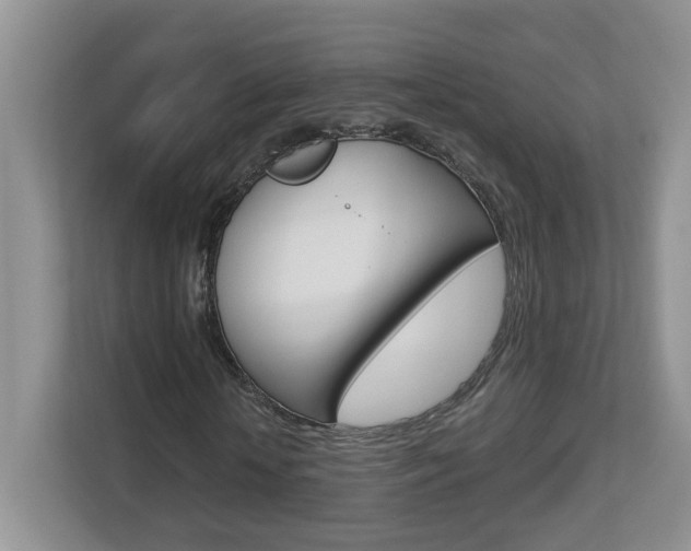 X0000112900818200908211048