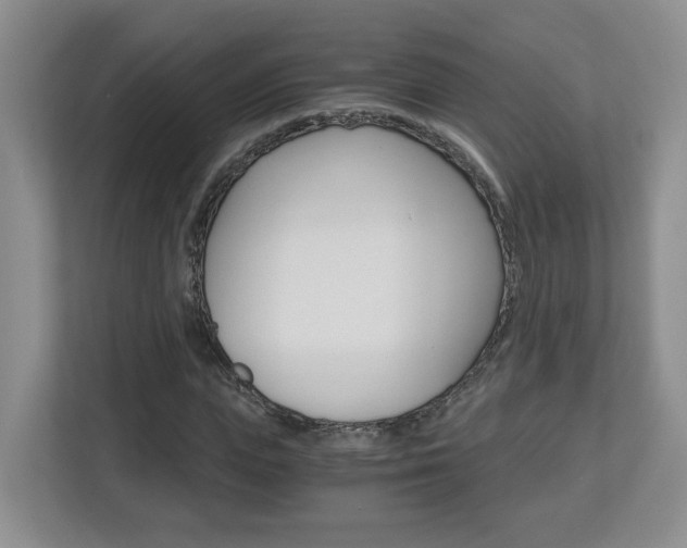X0000112900823200908211048