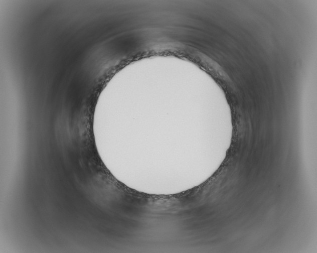 X0000112900824200908211048