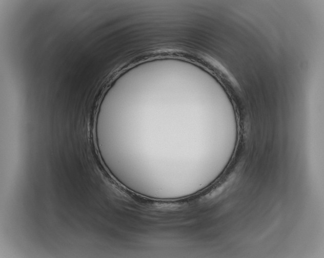 X0000112900825200908211048