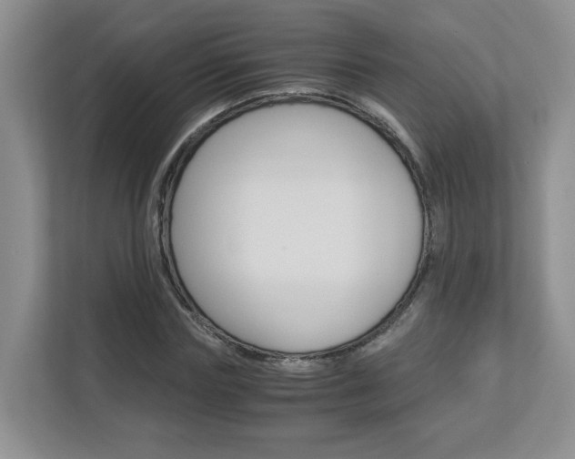X0000112900827200908211048