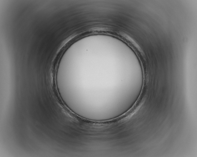 X0000112900829200908211048