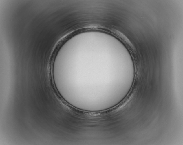 X0000112900831200908211048