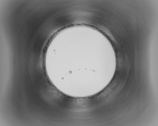 X0000112900832200908211048