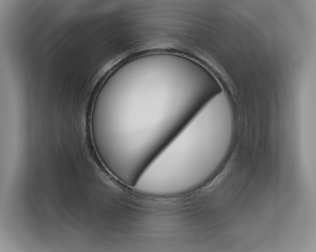 X0000112900834200908211048