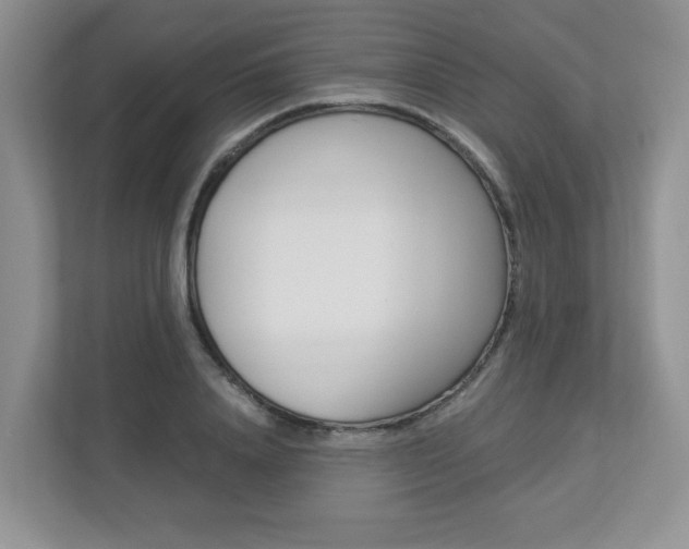 X0000112900840200908211048