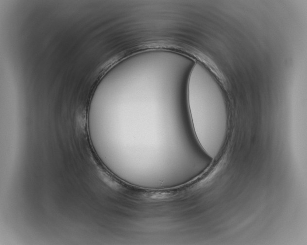 X0000112900841200908211048