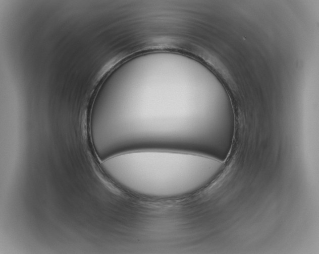 X0000112900842200908211049