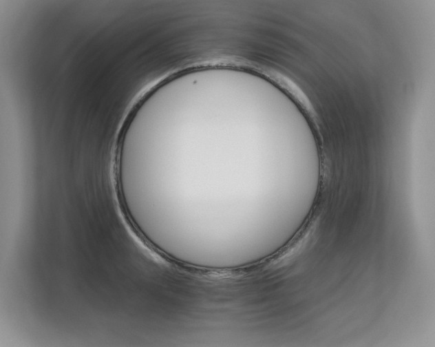 X0000112900847200908211049