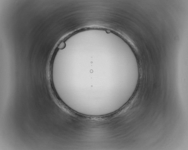 X0000112900848200908211049