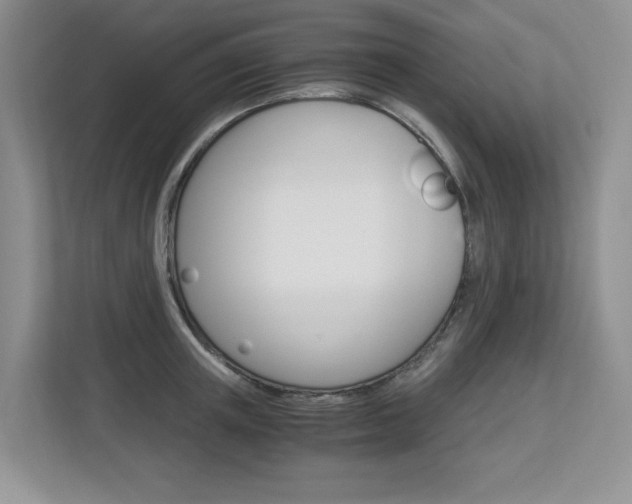 X0000112900851200908211049
