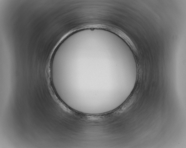 X0000112900852200908211049