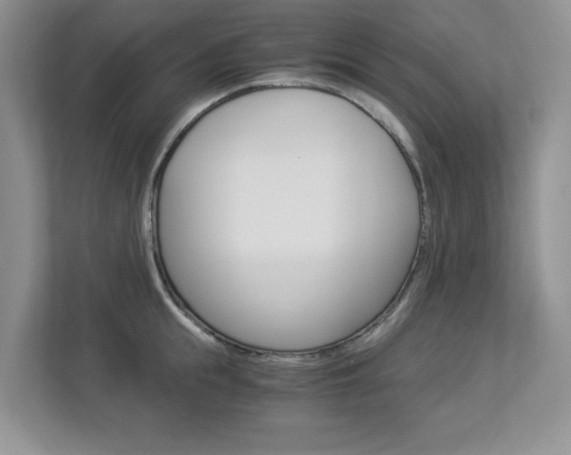 X0000112900855200908211049