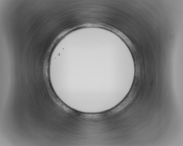 X0000112900856200908211049