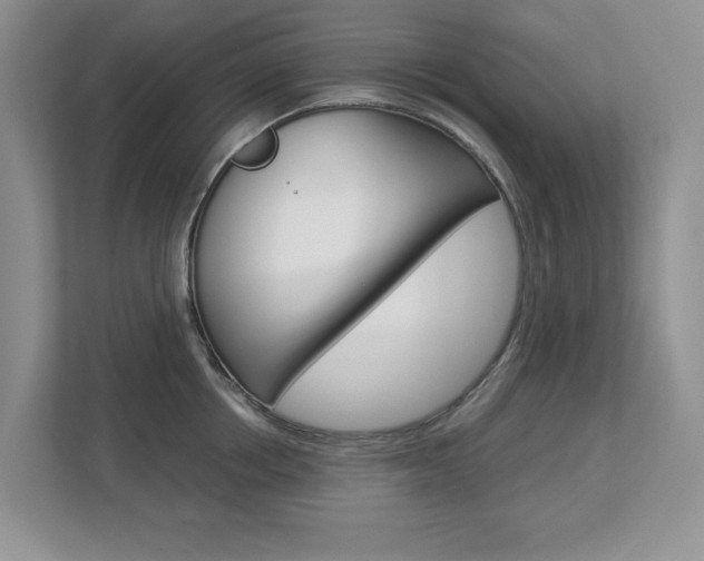 X0000112900858200908211049