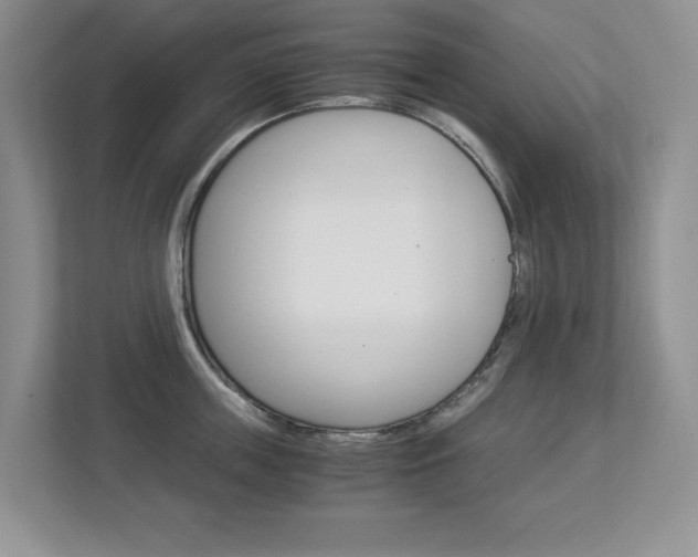 X0000112900859200908211049