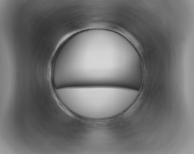 X0000112900862200908211049