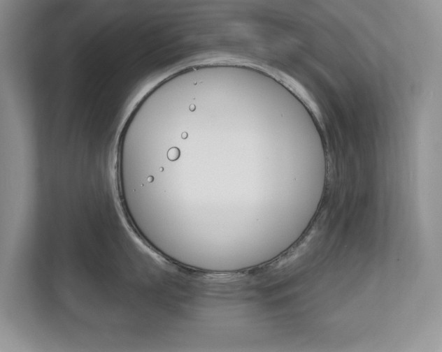 X0000112900863200908211049
