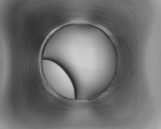 X0000112900864200908211049