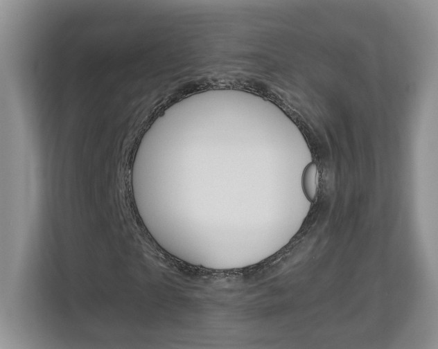 X0000112900865200908211048