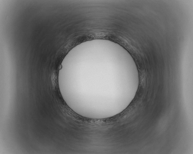 X0000112900866200908211048