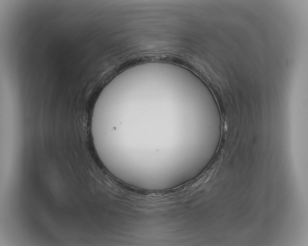 X0000112900867200908211048