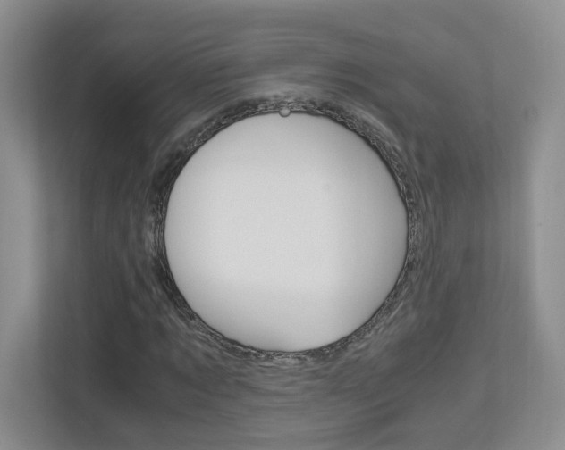 X0000112900869200908211048