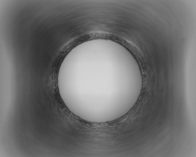 X0000112900870200908211048