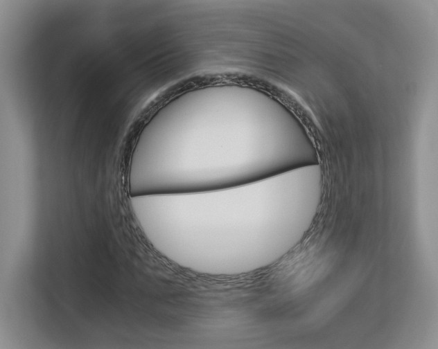 X0000112900871200908211048