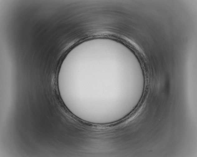 X0000112900873200908211048