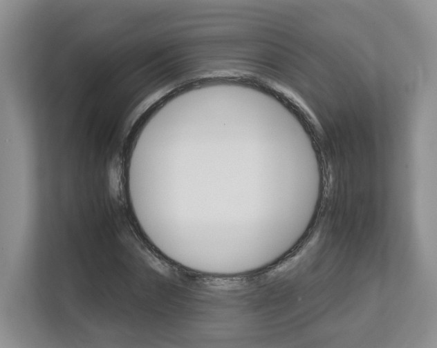 X0000112900874200908211048